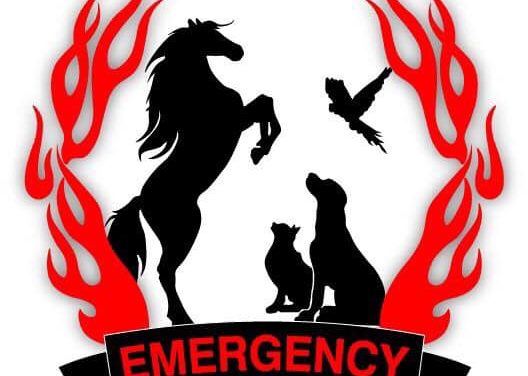 EASE WA – Animal Support in Emergencies